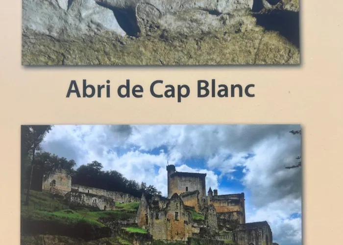 Сasa de vacaciones La Fleurie